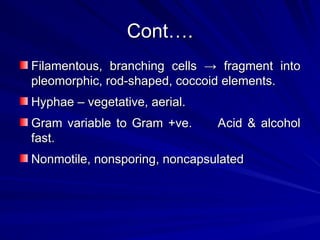 Filamentious Rods 1 august 2025 -Actinomycetes and nocardia.ppt