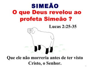 SIMEÃO
  O que Deus revelou ao
    profeta Simeão ?
                     Lucas 2:25-35




Que ele não morreria antes de ter visto
          Cristo, o Senhor.               11
 
