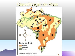 Classificação de Ross

 