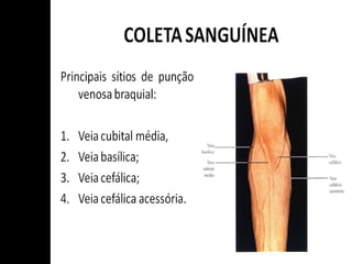 17/06/16
Bioquímica Clínica - Prof. Ronaldo
Costa
 