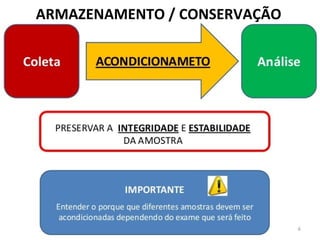ARMAZENAMENTO / CONSERVAÇÃO
 