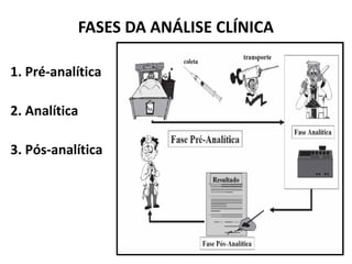 FASES DA ANÁLISE CLÍNICA
1. Pré-analítica
2. Analítica
3. Pós-analítica
 