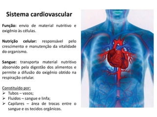 Sistema cardiovascular
Função: envio de material nutritivo e
oxigênio às células.
Nutrição celular: responsável pelo
crescimento e manutenção da vitalidade
do organismo.
Sangue: transporta material nutritivo
absorvido pela digestão dos alimentos e
permite a difusão do oxigênio obtido na
respiração celular.
Constituído por:
 Tubos – vasos;
 Fluidos – sangue e linfa;
 Capilares – área de trocas entre o
sangue e os tecidos orgânicos.
 
