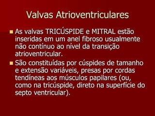 Valvas Atrioventriculares
 As valvas TRICÚSPIDE e MITRAL estão
inseridas em um anel fibroso usualmente
não contínuo ao nível da transição
atrioventricular.
 São constituídas por cúspides de tamanho
e extensão variáveis, presas por cordas
tendíneas aos músculos papilares (ou,
como na tricúspide, direto na superfície do
septo ventricular).
 