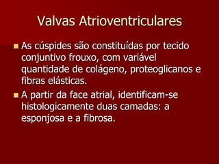 Valvas Atrioventriculares
 As cúspides são constituídas por tecido
conjuntivo frouxo, com variável
quantidade de colágeno, proteoglicanos e
fibras elásticas.
 A partir da face atrial, identificam-se
histologicamente duas camadas: a
esponjosa e a fibrosa.
 