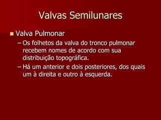 Valvas Semilunares
 Valva Pulmonar
– Os folhetos da valva do tronco pulmonar
recebem nomes de acordo com sua
distribuição topográfica.
– Há um anterior e dois posteriores, dos quais
um à direita e outro à esquerda.
 