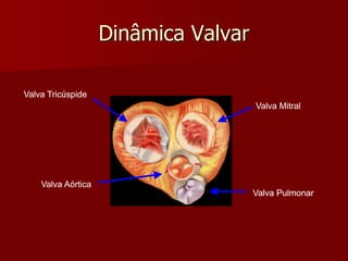 Dinâmica Valvar
Valva Mitral
Valva Tricúspide
Valva Aórtica
Valva Pulmonar
Valva Tricúspide
Valva Pulmonar
Valva Aórtica
Valva Tricúspide
Valva Pulmonar
Valva Mitral
Valva Pulmonar
Valva Mitral
Valva Tricúspide
Valva Pulmonar
 