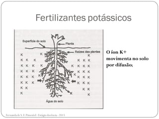 Fertilizantes potássicos
O íon K+
movimenta no solo
por difusão;
Fernanda de S.F.Pimentel - Estágio docência - 2013
 