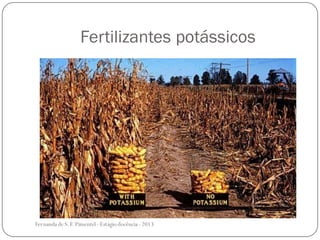 Fertilizantes potássicos
Fernanda de S.F.Pimentel - Estágio docência - 2013
 