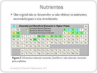 Nutrientes
 Um vegetal não se desenvolve se não obtiver os nutrientes
necessários para o seu crescimento.
Figura2: Elementos minerais essenciais, benéficos e não minerais essenciais
para as plantas
Fernanda de S.F.Pimentel - Estágio docência - 2013
 