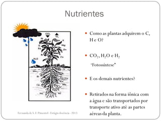 Nutrientes
 Como as plantas adquirem o C,
H e O?
 CO2,H2O e H2
“Fotossíntese”
 E os demais nutrientes?
 Retirados na forma iônica com
a água e são transportados por
transporte ativo até as partes
aéreas da planta.Fernanda de S.F.Pimentel - Estágio docência - 2013
 