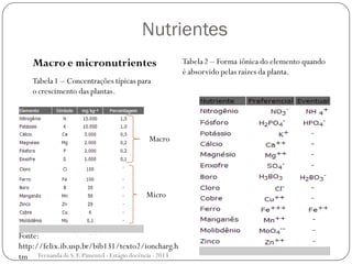 Nutrientes
Tabela1 – Concentrações típicas para
o crescimento das plantas.
Tabela2 – Forma iônica do elemento quando
é absorvido pelas raízes da planta.
Macro e micronutrientes
Fonte:
http://felix.ib.usp.br/bib131/texto2/ioncharg.h
tm
Macro
Micro
Fernanda de S.F.Pimentel - Estágio docência - 2013
 