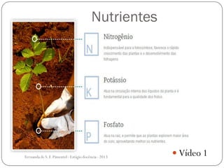  Vídeo 1
Nutrientes
Fernanda de S.F.Pimentel - Estágio docência - 2013
 