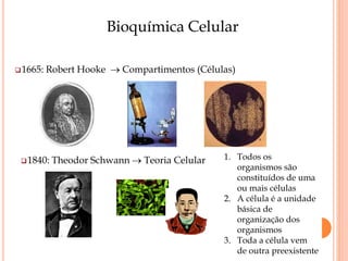 Bioquímica Celular
1665: Robert Hooke  Compartimentos (Células)
1840: Theodor Schwann  Teoria Celular 1. Todos os
organismos são
constituídos de uma
ou mais células
2. A célula é a unidade
básica de
organização dos
organismos
3. Toda a célula vem
de outra preexistente
 