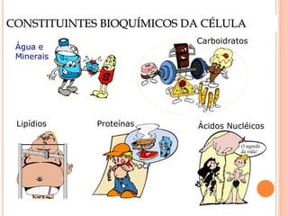 CONSTITUINTES BIOQUÍMICOS DA CÉLULA
Água e
Minerais
Carboidratos
Proteínas
Lipídios Ácidos Nucléicos
O segredo
da vida!
 