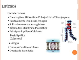 LIPÍDEOS
Características
 Duas regiões: Hidrofílica (Polar) e Hidrofóbica (Apolar)
 Relativamente insolúveis em água
 Solúveis em solventes orgânicos
 Bicamadas: Membrana Plasmática
 Principais Lipídeos Celulares:
Cabeça
Polar
Cauda
Apolar
Grupo
Fosfato
Glicerol
Molécula
Fosfolipídio
Fosfolipídios
Colesterol
Patologia
 Doenças Cardiovasculares
 Obesidade Patológica
 
