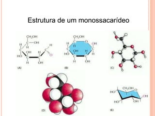 Estrutura de um monossacarídeo
 