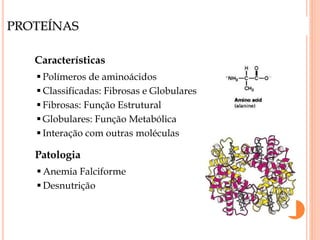 PROTEÍNAS
Características
 Polímeros de aminoácidos
 Classificadas: Fibrosas e Globulares
 Fibrosas: Função Estrutural
 Globulares: Função Metabólica
 Interação com outras moléculas
Patologia
 Anemia Falciforme
 Desnutrição
 