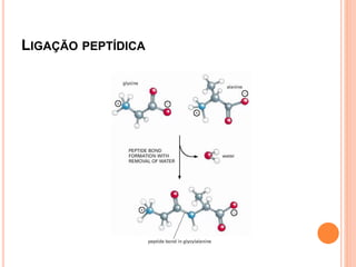 LIGAÇÃO PEPTÍDICA
 