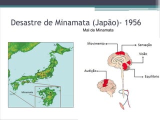 Desastre de Minamata (Japão)- 1956
Mal de Minamata
 
