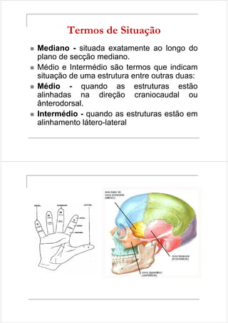 Termos de Situação 
 Mediano - situada exatamente ao longo do 
plano de secção mediano. 
 Médio e Intermédio são termos que indicam 
situação de uma estrutura entre outras duas: 
 Médio - quando as estruturas estão 
alinhadas na direção craniocaudal ou 
ânterodorsal. 
 Intermédio - quando as estruturas estão em 
alinhamento látero-lateral 
 