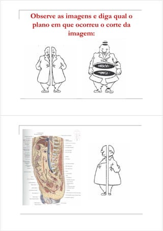 Observe as imagens e diga qual o 
plano em que ocorreu o corte da 
imagem: 
 