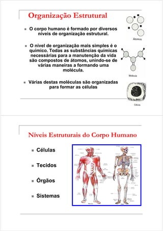 Organização Estrutural 
 O corpo humano é formado por diversos 
níveis de organização estrutural. 
 O nível de organização mais simples é o 
químico. Todas as substâncias químicas 
necessárias para a manutenção da vida 
são compostos de átomos, unindo-se de 
várias maneiras a formando uma 
molécula. 
 Várias destas moléculas são organizadas 
para formar as células 
Níveis Estruturais do Corpo Humano 
 Células 
 Tecidos 
 Órgãos 
 Sistemas 
 