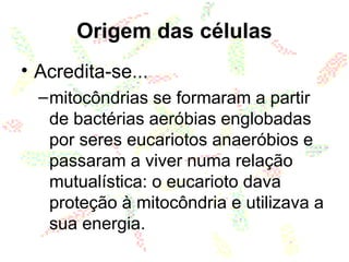 Origem das células
• Acredita-se...
–mitocôndrias se formaram a partir
de bactérias aeróbias englobadas
por seres eucariotos anaeróbios e
passaram a viver numa relação
mutualística: o eucarioto dava
proteção à mitocôndria e utilizava a
sua energia.
 