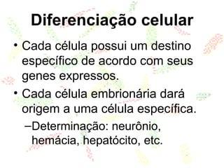 • Cada célula possui um destino
específico de acordo com seus
genes expressos.
• Cada célula embrionária dará
origem a uma célula específica.
–Determinação: neurônio,
hemácia, hepatócito, etc.
Diferenciação celular
 