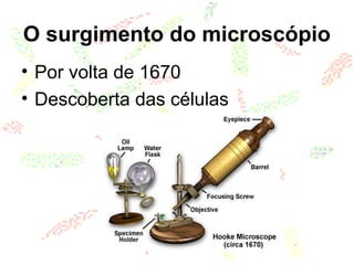 O surgimento do microscópio
• Por volta de 1670
• Descoberta das células
 