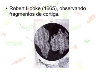 • Robert Hooke (1665), observando
fragmentos de cortiça.
 