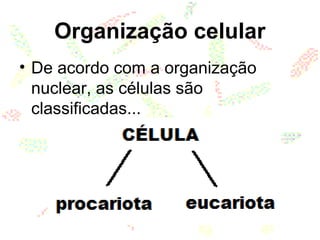 Organização celular
• De acordo com a organização
nuclear, as células são
classificadas...
 