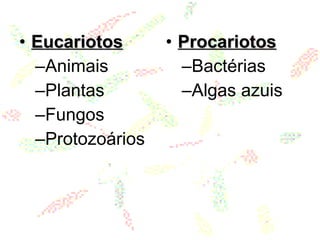 • EucariotosEucariotos
–Animais
–Plantas
–Fungos
–Protozoários
• ProcariotosProcariotos
–Bactérias
–Algas azuis
 