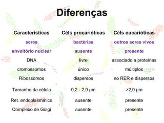 Diferenças
Características Céls procarióticas Céls eucarióticas
seres bactérias outros seres vivos
envoltório nuclear ausente presente
DNA livre associado a proteínas
cromossomos único múltiplos
Ribossomos dispersos no RER e dispersos
Tamanho da célula 0,2 - 2,0 µm >2,0 µm
Ret. endoplasmático ausente presente
Complexo de Golgi ausente presente
 