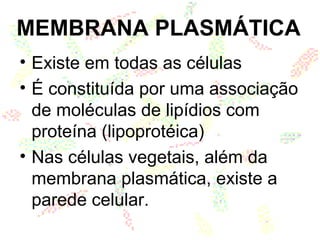 MEMBRANA PLASMÁTICA
• Existe em todas as células
• É constituída por uma associação
de moléculas de lipídios com
proteína (lipoprotéica)
• Nas células vegetais, além da
membrana plasmática, existe a
parede celular.
 