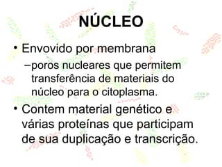 NÚCLEO
• Envovido por membrana
–poros nucleares que permitem
transferência de materiais do
núcleo para o citoplasma.
• Contem material genético e
várias proteínas que participam
de sua duplicação e transcrição.
 