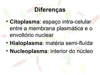 Diferenças
• Citoplasma: espaço intra-celular
entre a membrana plasmática e o
envoltório nuclear
• Hialoplasma: matéria semi-fluída
• Nucleoplasma: interior do núcleo
 