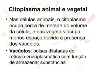Citoplasma animal e vegetal
• Nas células animais, o citoplasma
ocupa cerca de metade do volume
da célula, e nas vegetais ocupa
menos espaço devido à presença
dos vacúolos.
• Vacúolos: bolsas dilatadas do
retículo endoplasmático com função
de armazenar substâncias
 