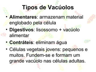 Tipos de Vacúolos
• Alimentares: armazenam material
englobado pela célula
• Digestivos: lisossomo + vacúolo
alimentar
• Contráteis: eliminam água
• Células vegetais jovens: pequenos e
muitos. Fundem-se e formam um
grande vacúolo nas células adultas.
 