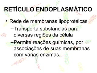 RETÍCULO ENDOPLASMÁTICO
• Rede de membranas lipoprotéicas
–Transporta substâncias para
diversas regiões da célula
–Permite reações químicas, por
associações de suas membranas
com várias enzimas.
 