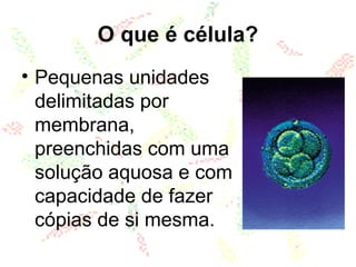 O que é célula?
• Pequenas unidades
delimitadas por
membrana,
preenchidas com uma
solução aquosa e com
capacidade de fazer
cópias de si mesma.
 