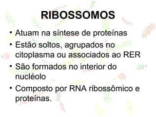 RIBOSSOMOS
• Atuam na síntese de proteínas
• Estão soltos, agrupados no
citoplasma ou associados ao RER
• São formados no interior do
nucléolo
• Composto por RNA ribossômico e
proteínas.
 