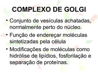 COMPLEXO DE GOLGI
• Conjunto de vesículas achatadas,
normalmente perto do núcleo.
• Função de endereçar moléculas
sintetizadas pela célula
• Modificações de moléculas como
hidrólise de lipídios, fosforilação e
separação de proteínas.
 