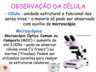 OBSERVAÇÃO DA CÉLULA
• Célula : unidade estrutural e funcional dos
seres vivos – a maioria só pode ser observada
com auxílio do microscópio.
Microscópios:
- Microscópio Óptico Comum ou
Composto (MOC) = aumento de
até 2.000x – pode-se observar
células vivas (“a fresco”) ou
mortas (“fixadas). Podem ser
utilizados corantes para realçar
as estruturas celulares.
 