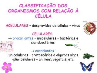 CLASSIFICAÇÃO DOS
ORGANISMOS COM RELAÇÃO À
CÉLULA
ACELULARES – desprovidos de células – vírus
CELULARES
→ procariontes – unicelulares – bactérias e
cianobactérias
→ eucariontes
•unicelulares – protozoários e algumas algas
•pluricelulares – animais, vegetais, etc
 
