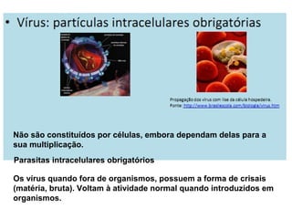 Não são constituídos por células, embora dependam delas para a
sua multiplicação.
Parasitas intracelulares obrigatórios
Os vírus quando fora de organismos, possuem a forma de crisais
(matéria, bruta). Voltam à atividade normal quando introduzidos em
organismos.
 