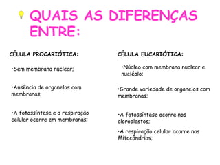 QUAIS AS DIFERENÇAS
ENTRE:
•A fotossíntese e a respiração
celular ocorre em membranas;
•A fotossíntese ocorre nos
cloroplastos;
•A respiração celular ocorre nas
Mitocôndrias;
CÉLULA PROCARIÓTICA: CÉLULA EUCARIÓTICA:
•Sem membrana nuclear;
•Ausência de organelos com
membranas;
•Núcleo com membrana nuclear e
nucléolo;
•Grande variedade de organelos com
membranas;
 