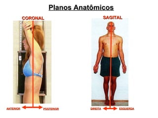 Planos Anatômicos
SAGITAL

CORONAL

ANTERIOR

POSTERIOR

DIREITA

ESQUERDA

 