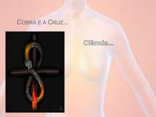 COBRA E A CRUZ...
 