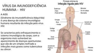 VÍRUS DA IMUNODEFICIÊNCIA
HUMANA - HIV
A AIDS
(Síndrome da Imunodeficiência Adquirida)
é uma doença do sistema imunológico
humano resultante da infecção pelo vírus
HIV.
Se caracteriza pelo enfraquecimento o
sistema imunológico do corpo, com o
organismo mais vulnerável ao
aparecimento de doenças oportunistas
que vão de um simples resfriado a
infecções mais graves como tuberculose
ou câncer.
 